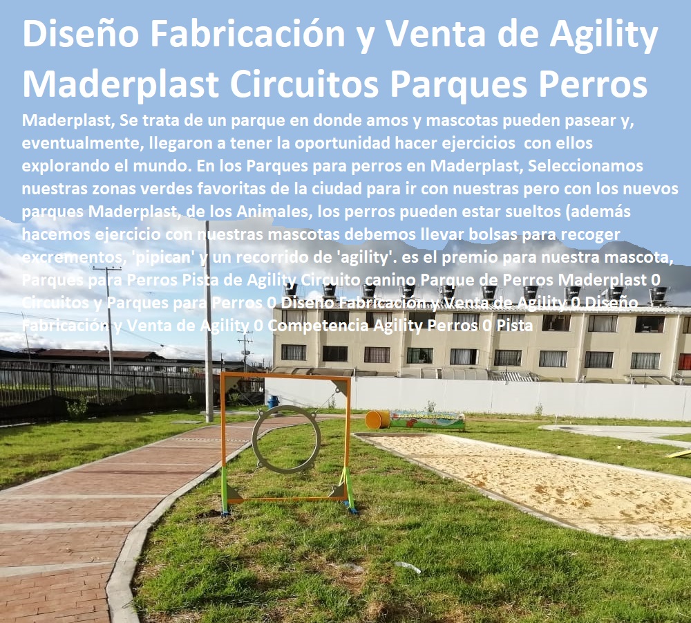 Parques para Perros Pista de Agility Circuito canino Parque de Perros Maderplast 0 Circuitos y Parques para Perros 0 Diseño Fabricación y Venta de Agility 0 Diseño Fabricación y Venta de Agility 0 Competencia Agility Perros 0 Agility De Perros, Pistas De Adiestramiento, Caninos Para Perros, Equipo De Agility Para Perros, Cunas Y Parideras Para Perros, Parques Para Perros, Corrales Para Perros, Jaulas cuidado de perros, Casas Para Perros Y Mascotas, Pista Parques para Perros Pista de Agility Circuito canino Parque de Perros Maderplast 0 Circuitos y Parques para Perros 0 Diseño Fabricación y Venta de Agility 0 Diseño Fabricación y Venta de Agility 0 Competencia Agility Perros 0 Pista